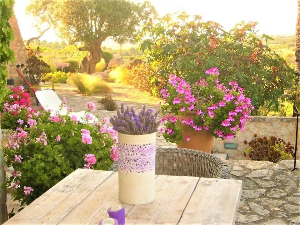 Lodge Serra Llevant Son Macia