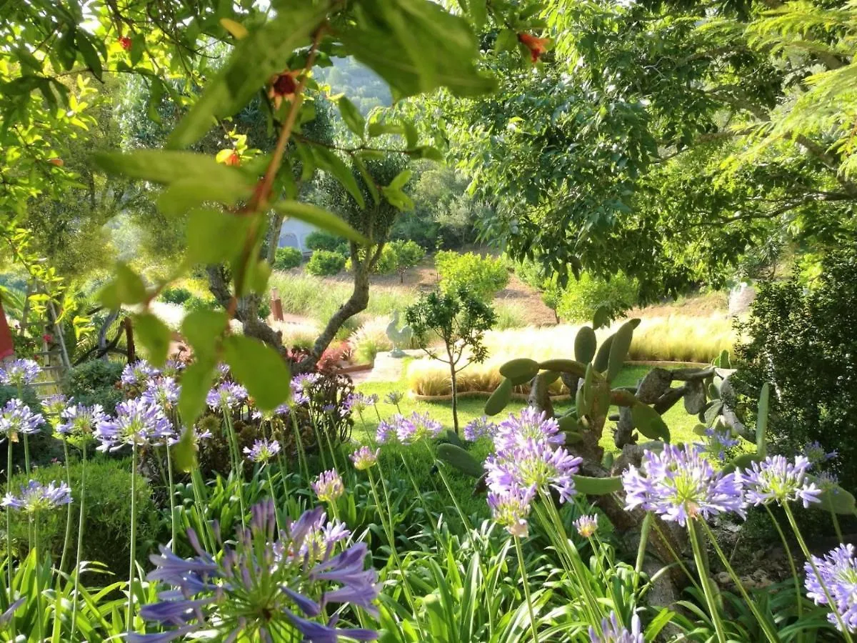 Lodge Serra Llevant Son Macia  Espanha