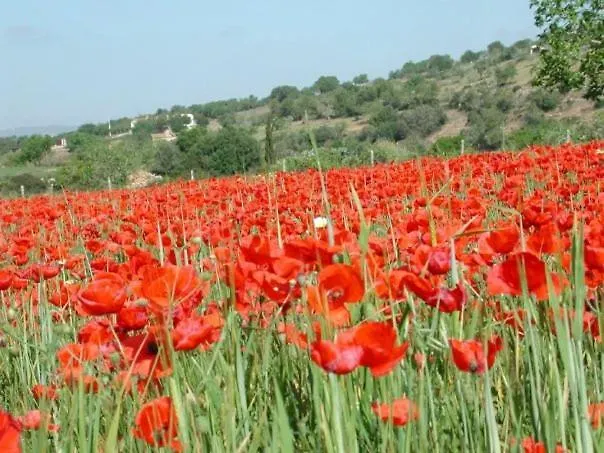 Lodge Serra Llevant Son Macia