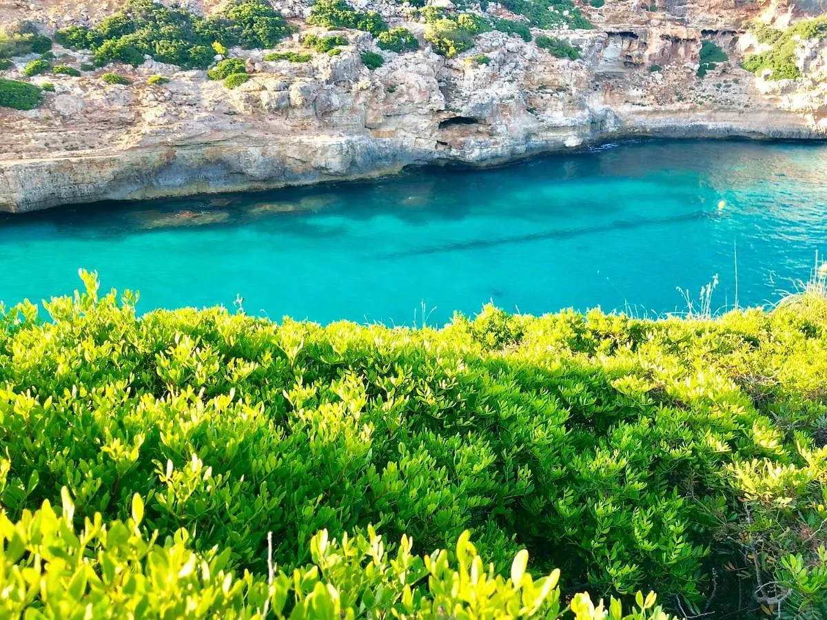 Lodge Serra Llevant Son Macia  0*, Son Macia (Mallorca)